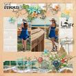 Memory Photo Collage Templates 2nd Edition by Karen Schulz Designs Digital Art Layout 09