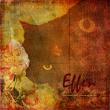 A sweet grungy kitty layout by Nickel :D