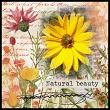 Prairie Digital Scrapbook Page by Kelly