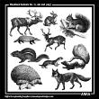 Woodland Animals 1 - Digital Art Stamps Anna Aspnes
