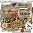 Digital Scrapbooking Vintage Autumn Themed Second Chances elements by Vicki Stegall
