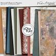 Digital Scrapbooking Vintage Autumn Themed Second Chances papers by Vicki Stegall