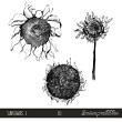 Sarapullka Commercial Use Digital Art Sunflowers Preview Black White