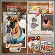 My dog is my Valentine pocket cards pack by Lilach Oren