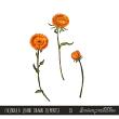 CU Calendula Digital Scrapbook Preview by Sarapullka Scraps