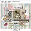 Age is Just a Number Digital Scrapbook Kit by Vicki Robinson preview image