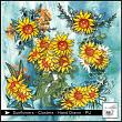 Sunflowers Collection by Christine Art