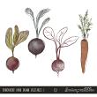 CU Transparent Hand Drawn Vegetables 1 Digital Scrapbook Preview by Sarapullka Scraps