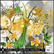 Daffodils 1 Bundle by Christine Art