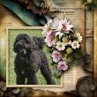 Animal Talk by Cheryl Budden Digital Art Page by Norma 03