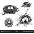 CU Brush Set: Nests 1 Digital Scrapbook Elements Preview by Sarapullka Scraps