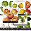CU Fruits Vegetables Digital Scrapbook Elements Sarapullka Scraps