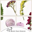 Pressed Flowers 4 (CU) closeup by Wendy Page Designs