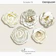 Flowers 78 (CU) by Wendy Page Designs