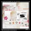 ArtPlay Palette Simplicity Digital Scrapbook Kit