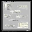 Simplicity Word Transfers 01 Digital Scrapbooking Words