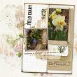 Field Notes by Vicki Robinson. Digital scrapbook layout by Faerywings