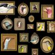 Ornithology elements by itKuPiLLi sample page by Jayne