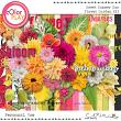 Sweet Summer Sun Flower Garden Kit 