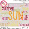 Sweet Summer Sun Title Stamps