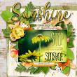 Sweet Summer Sun Title Stamps LO by bcgal00