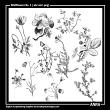 Wildflowers 1 Digital Scrapbook Elements by Anna Aspnes