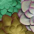 Paper Succulents Vol 1 Digital Art Flowers detail 1