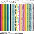 Showers and Flowers: Bundle  - Patterned Papers