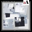 Digital Scrapbook Artplay Palette Noble Papers Anna Aspnes