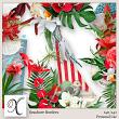 Seashore Digital Scrapbook Borders Preview by Xuxper Designs