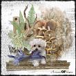 An Element of Surprise Digital Scrapbook Page Lynne 06