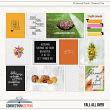 Fall All Over Digital Scrapbook Journal Cards Preview by Connection Keeping
