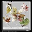 MultiMedia Leaves 01 Digital Scrapbook Elements by Anna Aspnes