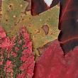 Fall Leaves Vol. 2 detail 02