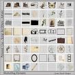Shutterbug Digital Scrapbooking Elements Pack by Lynne Anzelc