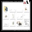 Terraqueous ArtPlay MiniPalette Digital Scrapbook Transfers 02 Anna Aspnes