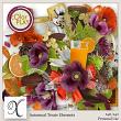 Autumnal Treats Digital Scrapbook Elements Preview by Xuxper Designs