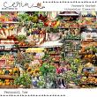 Farmers Market: Watercolor Elements
