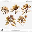 Dried Blooms 5-AI- (CU) by Wendy Page Designs