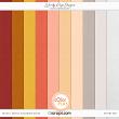 Revive Solids by Wendy Page Designs