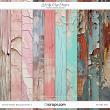 Mixed Media Backgrounds 2b by Wendy Page Designs