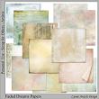 Faded Dreams Digital Art Papers by Lynne Anzelc