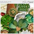 Digital Scrapbook kit Lucky Lucky Lucky by Vicki Stegall Designs | Oscraps.com detail 1