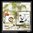 Hummingbird Digital Scrapbook Kit