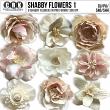 (CU) Shabby Flowers Set 1 by CRK | Oscraps