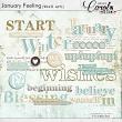 Oscrap-JanuaryFeeling-wa