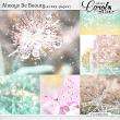 Oscrap-AlwaysBeBeauty-artpp