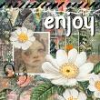 Layout by Kelly - includes Summer Hangout face and some elements
