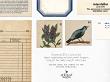 CU Vintage Findings No 13 Assorted Ephemera by A Whimsical Adventure at Oscraps