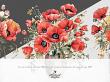 CU Artistic Illustrations No 2 Poppies by A Whimsical Adventure at Oscraps | A Closer Look